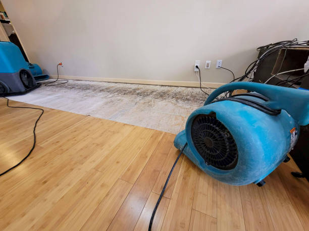 Professional Water Damage Repair technician working in Sag Harbor, NY